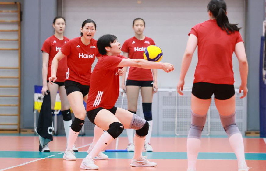 乐鱼体育综合体验分享与用户反馈