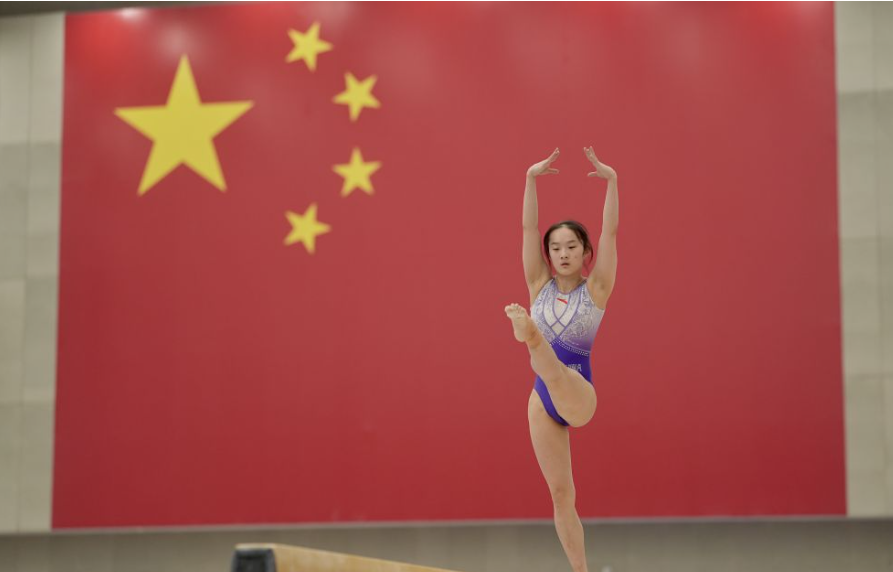 乐鱼体育网址与其他平台的优劣比较