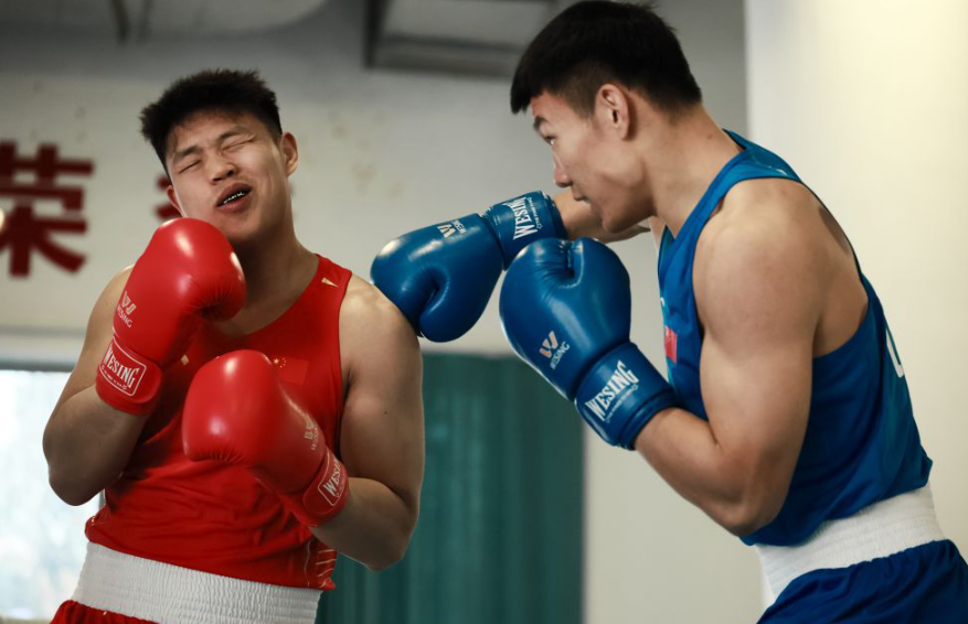 乐鱼体育平台带来全新的博彩体验